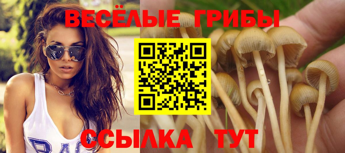 Нурлат  Галлюциногенные грибы мухоморы  Вход с VPN 